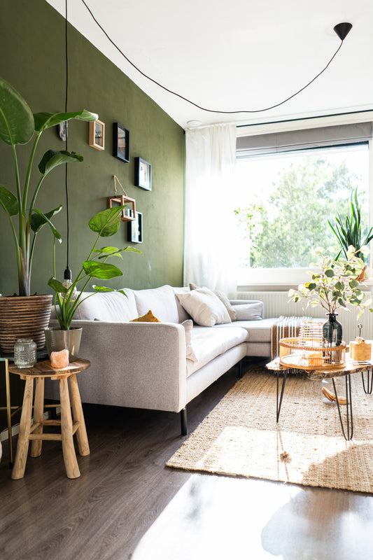 Apartment with white couch and green walls. Lots of natural lights. Plants